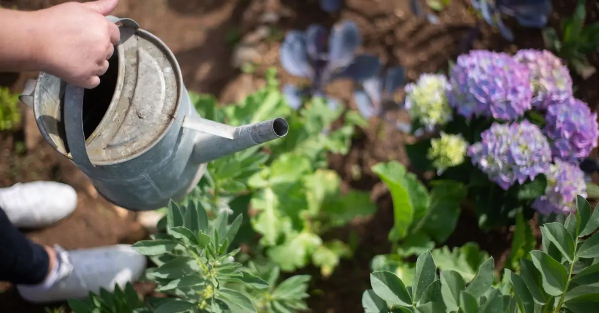 10 Astuces Incontournables pour Maximiser la Productivité de Votre Jardin