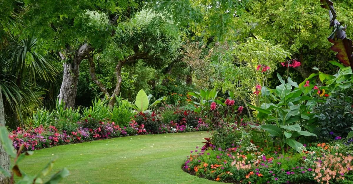 Analyse Complète des Systèmes de Drainage pour Jardins