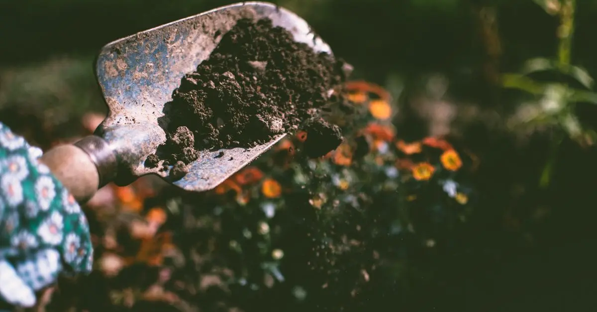 Les Meilleures Astuces pour Préparer Votre Jardin pour le Printemps