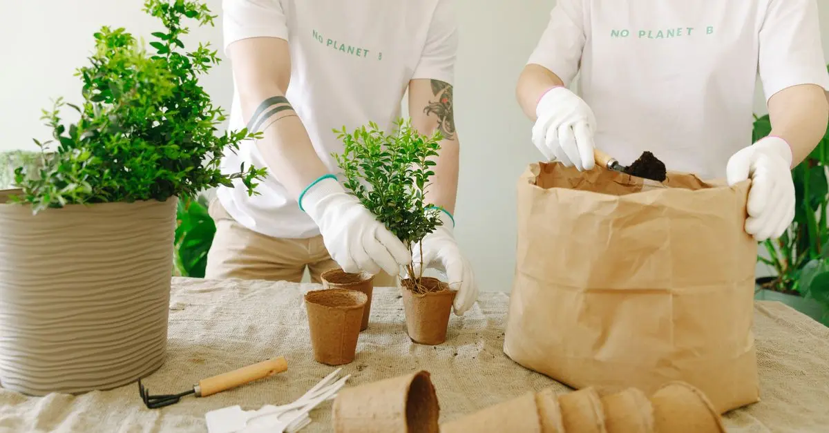 10 Astuces Indispensables pour Jardiner en Harmonie avec la Nature