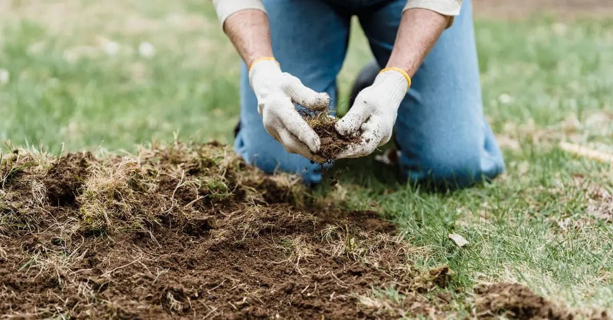 Comment Bien Préparer Votre Jardin pour L’Été