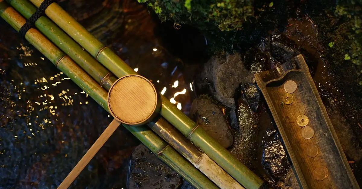 Comment Créer un Espace Zen dans Votre Jardin