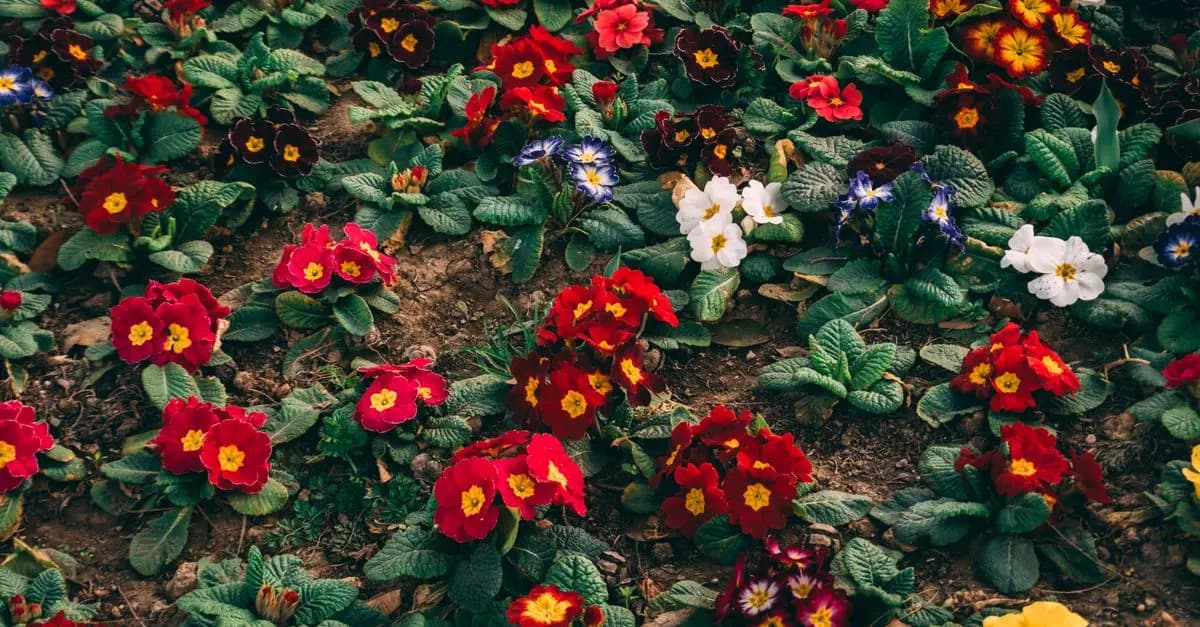 10 Conseils pour Bien Entretenir Votre Jardin au Printemps