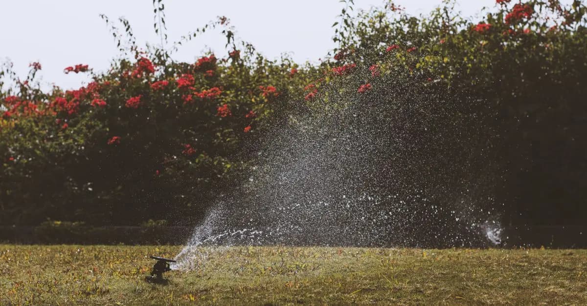 Les 10 Meilleures Astuces pour Prendre Soin de Votre Jardin