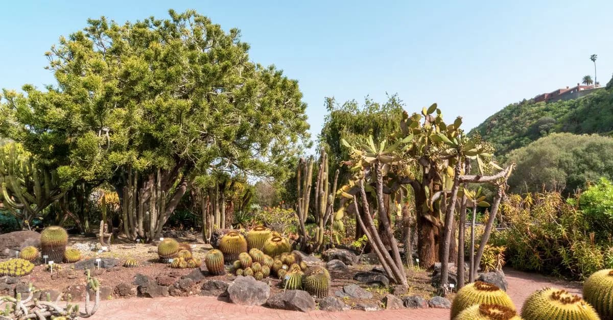 Jardinage Écologique : 10 Astuces pour Réussir
