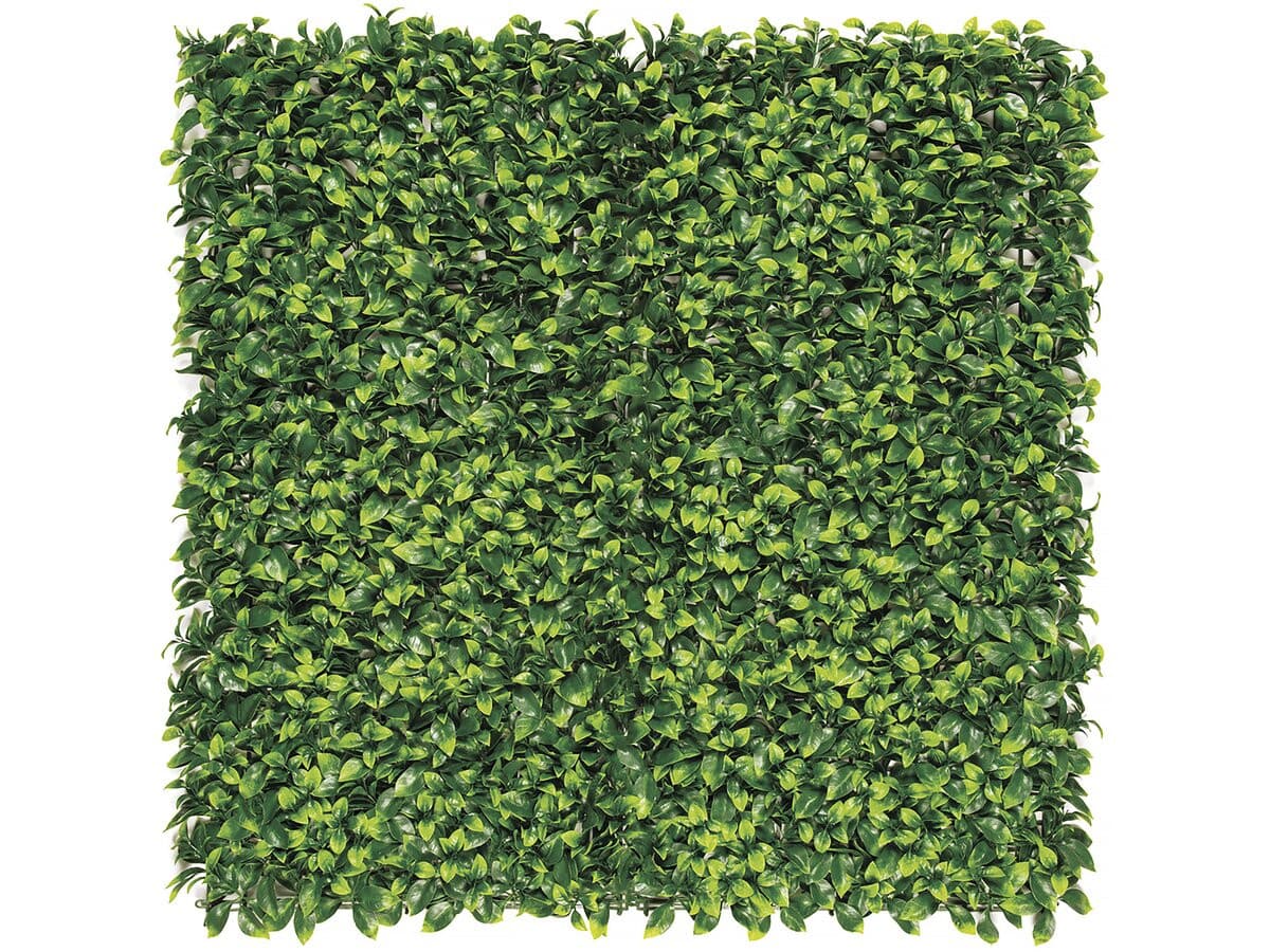 Panneau végétal - " Vertical Lauro " - Lot de 6 - 1.00 x 1.00 m - Vert