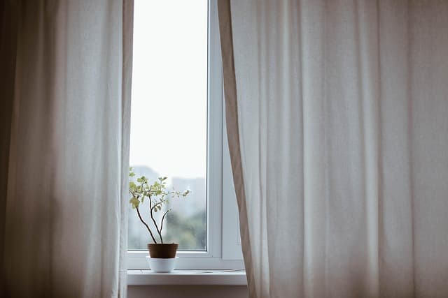 10 Astuces Essentielles pour Entretenir Vos Plantes d'Intérieur