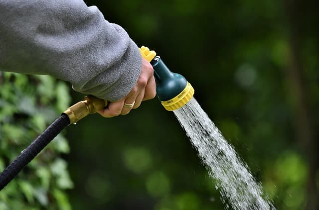 L'Art de la Taille des Plantes : Techniques et Astuces Essentielles