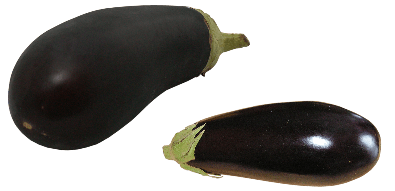 Les Meilleures Techniques pour Réussir la Culture des Légumes