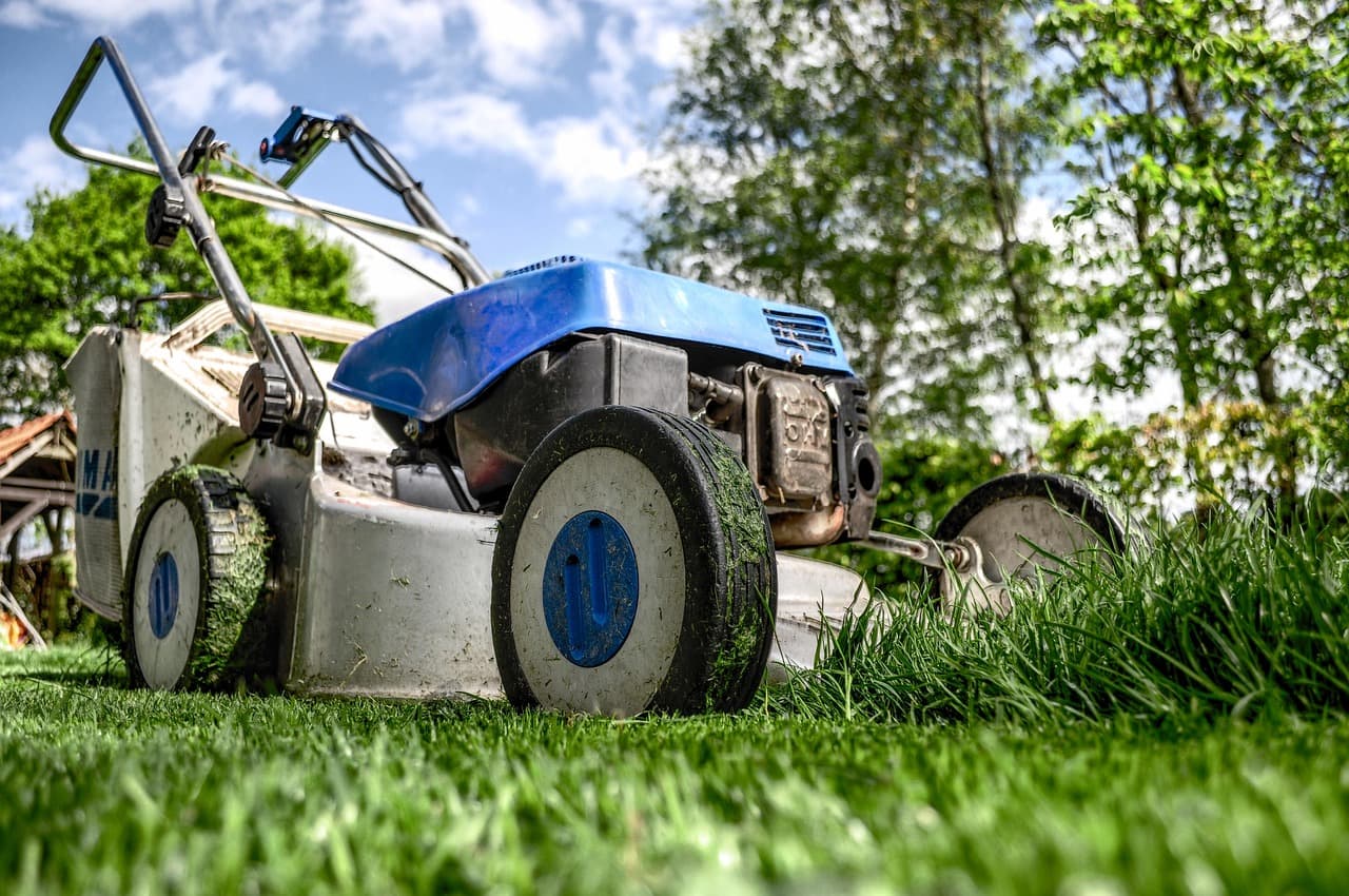 Les Meilleures Astuces de Jardinage pour Débutants