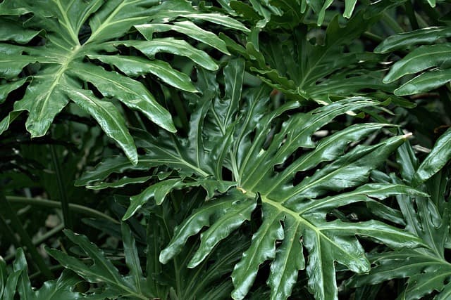 Comment Bien Entretenir Votre Jardin en Toutes Saisons