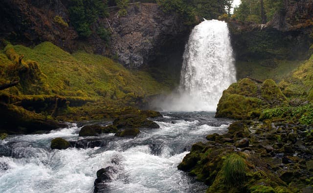 5 Astuces Incontournables pour Économiser de l'Eau au Jardin