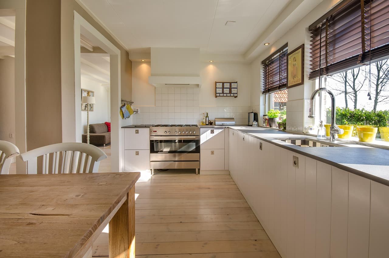 10 Conseils pour Entretenir Vos Plantes en Intérieur