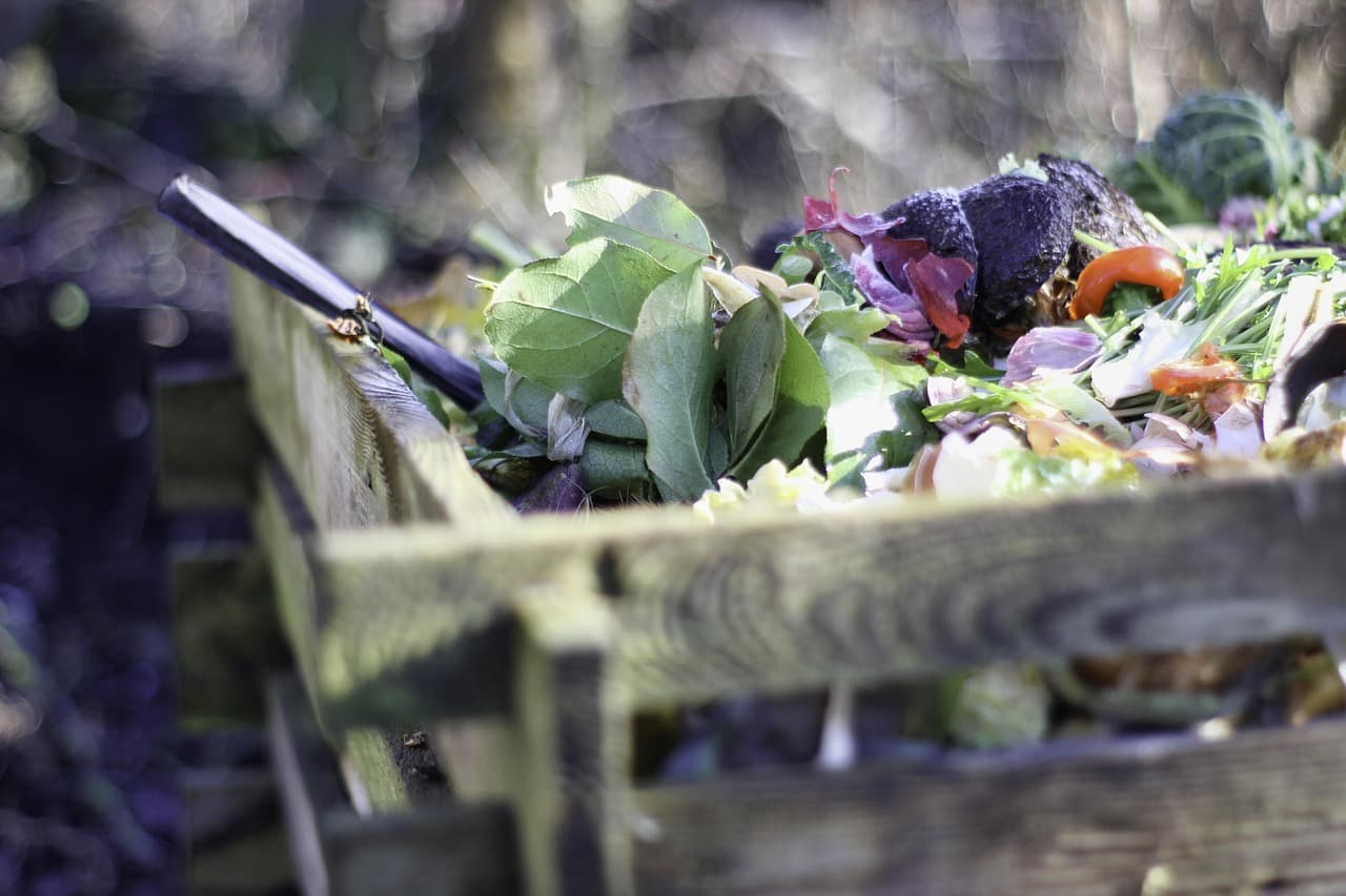 7 Conseils Essentiels pour un Jardinage Durable