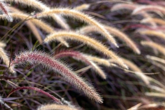10 Astuces pour Réussir l'Aménagement de Votre Jardin
